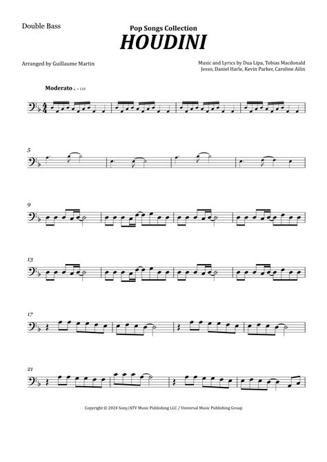 Houdini (arr. Guillaume Martin) Sheet Music | Dua Lipa | String Bass Solo