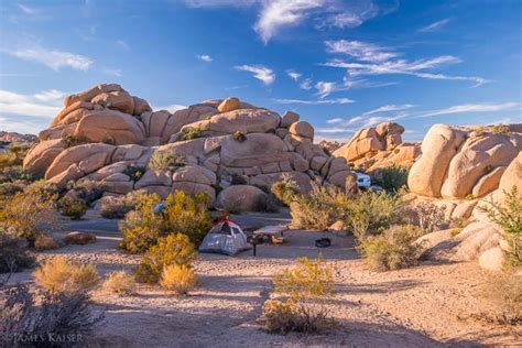 Photos of Jumbo Rocks Campground, Joshua Tree