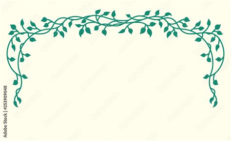 Vine vector of climbing or creeping ivy vines with pretty green plant leaves in an outline ...