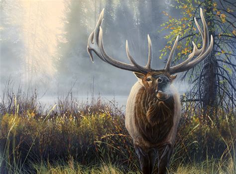 Elk paintings search result at PaintingValley.com