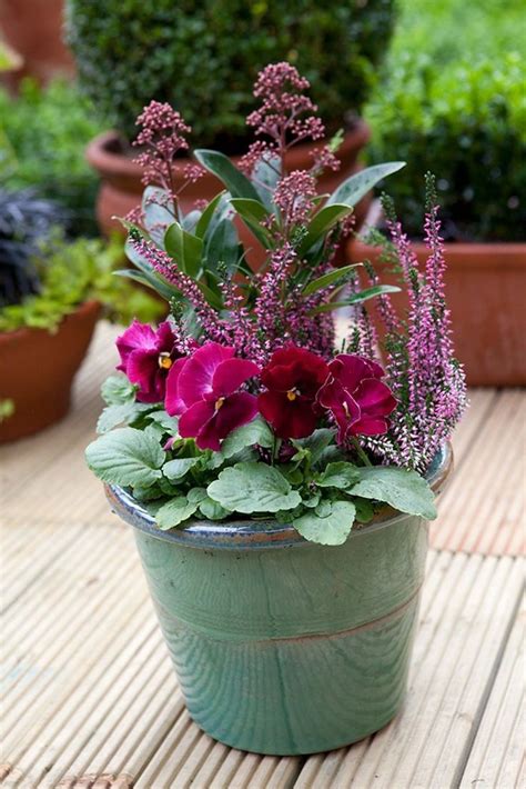 28 Beautiful Outdoor Winter Container Gardening Ideas (With images) | Winter container gardening ...