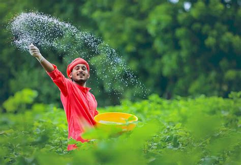 Essay on Indian Farmer in English for Classes 1,2,3 Kids: 10 Lines ...