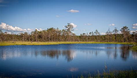 Baltic Run -Why We Love Estonia - Baltic Run