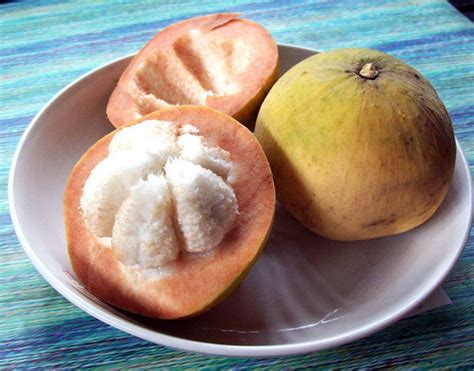 7 Healthy Reasons to Eat Santol Fruit | 1mhealthtips.com