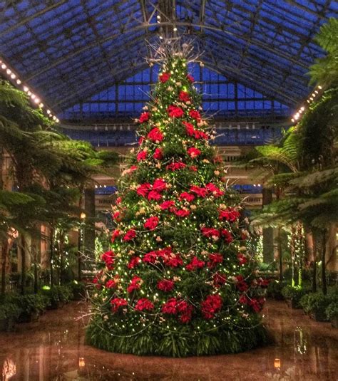 Pin by Terri Wilhelm on Christmas at Longwood Gardens | Longwood ...