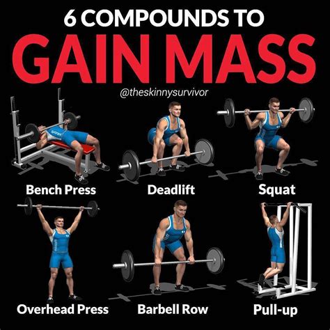 Gain Muscle Mass Using Only Dumbbells With 10 Demonstrated Exercises - GymGuider.com | Ectomorph ...