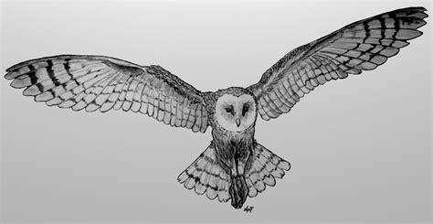 Barn Owl flying by ~skoppio on deviantART Snowy Owl Tattoo, Owl Tattoo Small, Birds Tattoo ...