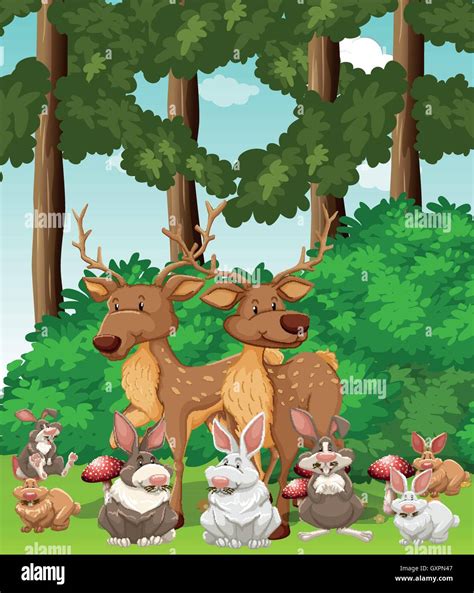 Deers and rabbits in the jungle illustration Stock Vector Image & Art - Alamy