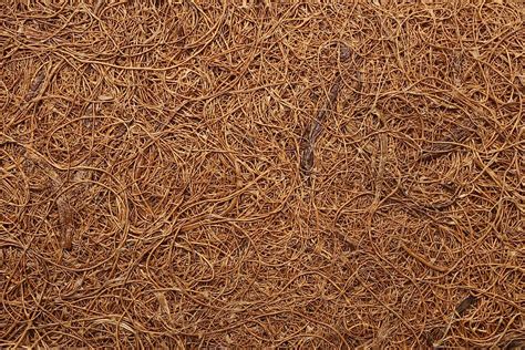 What Are The Different Applications Of Coir? - WorldAtlas