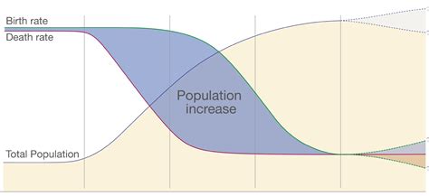 14 Astounding Facts About Demographic Transition Model - Facts.net