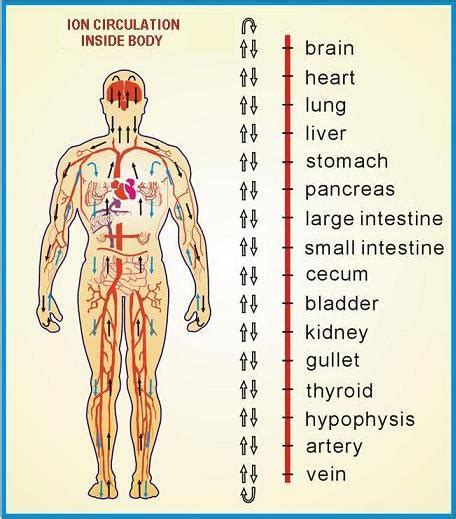 Ionic Detox — Monument Chiropractic