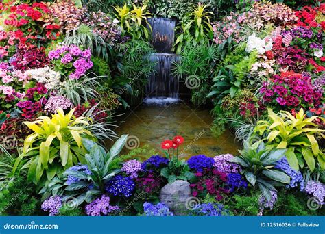 Flowers and waterfall stock photo. Image of flower, green - 12516036