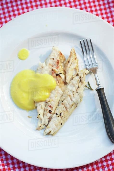 Grilled cod fillets with cheese sauce - Stock Photo - Dissolve