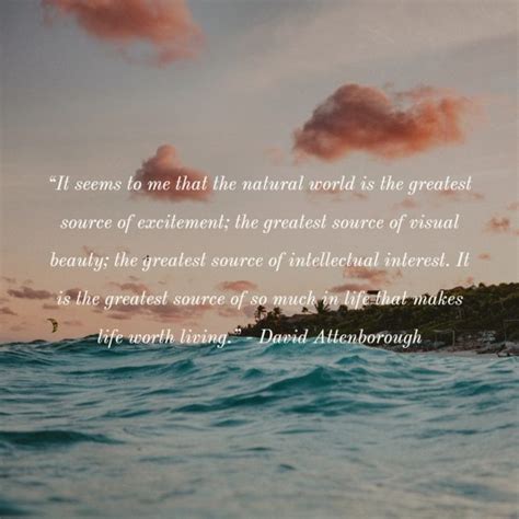 21 Inspiring Quotes About Sustainable Living, Nature & The Environment - The Green Hub