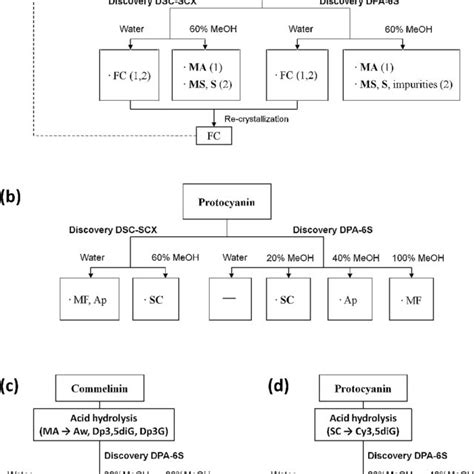 Flowchart of purification steps of various anthocyanins isolated from... | Download Scientific ...