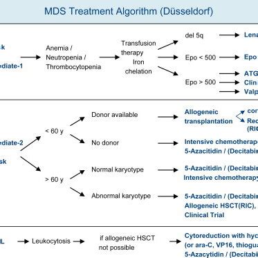 Risk-adapted MDS treatment algorithm used at the Hematology/Oncology ...