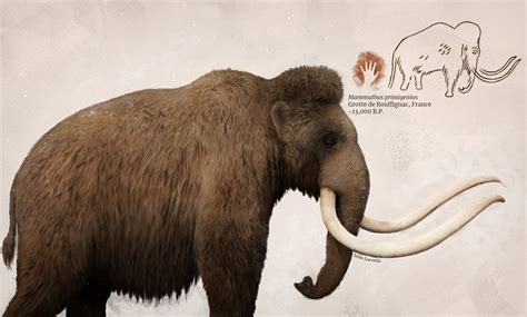 Woolly Mammoth based on a cave painting from the Rouffignac Cave in France : r/pleistocene