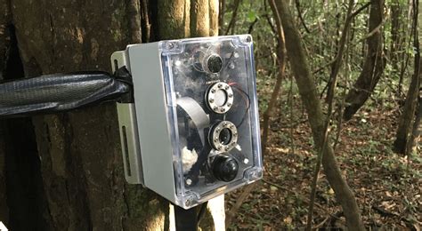 Amazon Rainforest Biodiversity Monitoring – Distributed Sensing Systems ...