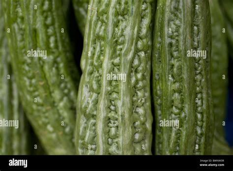 Ampalaya hi-res stock photography and images - Alamy