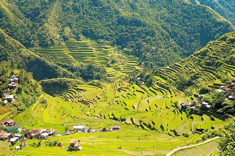 Discover Banaue Rice Terraces in Manila | Trip Guru