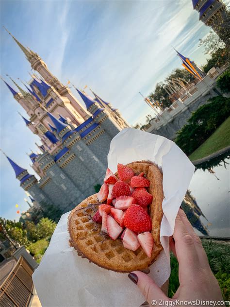 19 Best Magic Kingdom Restaurants | Places to Eat in 2021