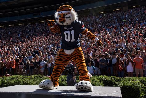 Happy Birthday, Aubie! 30 pictures of our favorite mascot