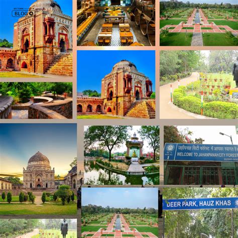 Best Gardens in Delhi for a Scenic Getaway | My Town Blog