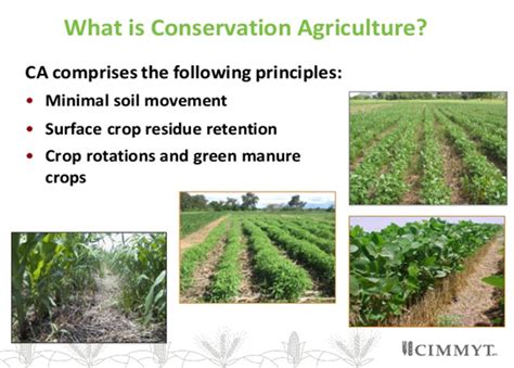 Integrated Nutrient Management in Conservation Agriculture