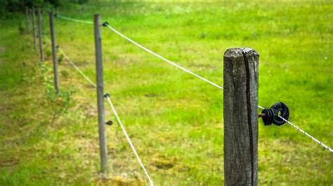 HOW TO BUILD AN ELECTRIC FENCE FOR CATTLE – Meat Goats