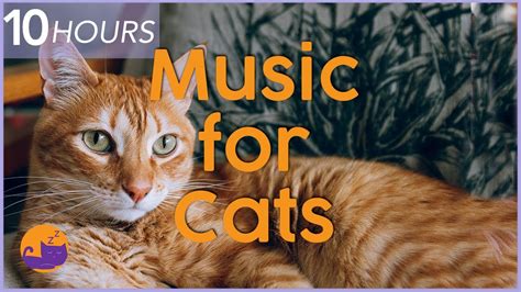 Music for Cats - 10 hour Relaxing Cat Music Playlist to Help Cats Sleep and Relax 🐱 - YouTube