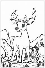Mule Deer Hunting Coloring Page Free PDF&ampPNG Printable sketch template