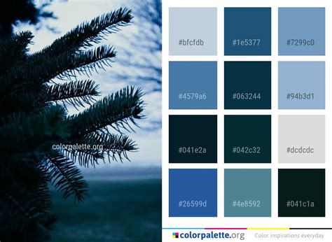 Sky Blue Nature Color Palette | colorpalette.org