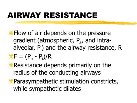 PPT - RESPIRATION PowerPoint Presentation, free download - ID:155040