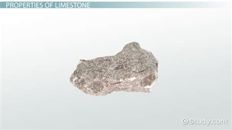 What is Limestone? - Properties, Types & Uses - Video & Lesson ...