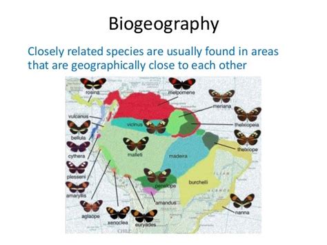 02 evidence of evolution biogeography