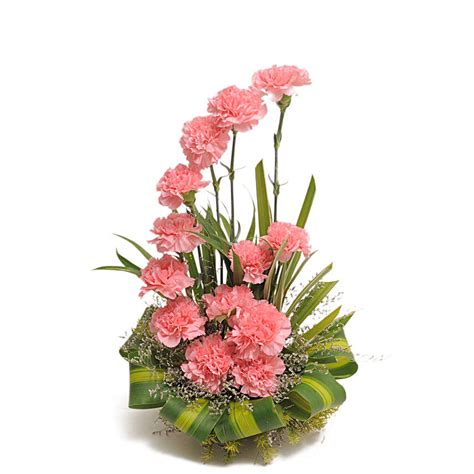 Buy/Send Pink Carnations Basket Arrangement Online- FNP