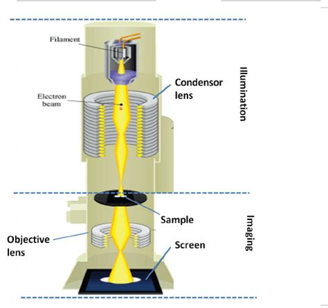 3: Schematic diagram of a TEM. Generally TEM is divided into two main... | Download Scientific ...