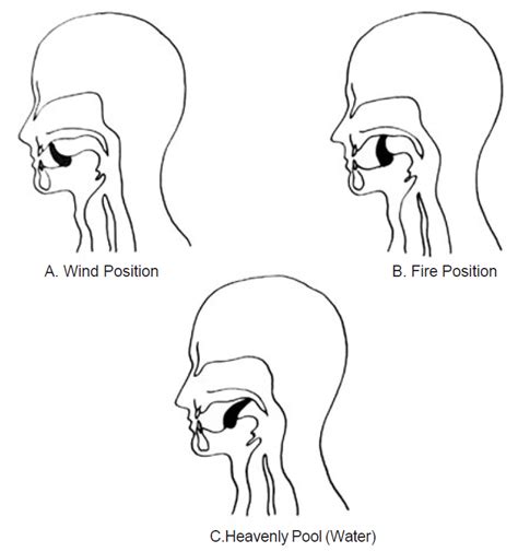 Tongue Bridge between Energy Channels – Learn Self Healing Techniques Online