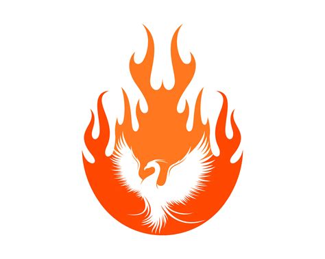 Phoenix Rising Vector Art, Icons, and Graphics for Free Download