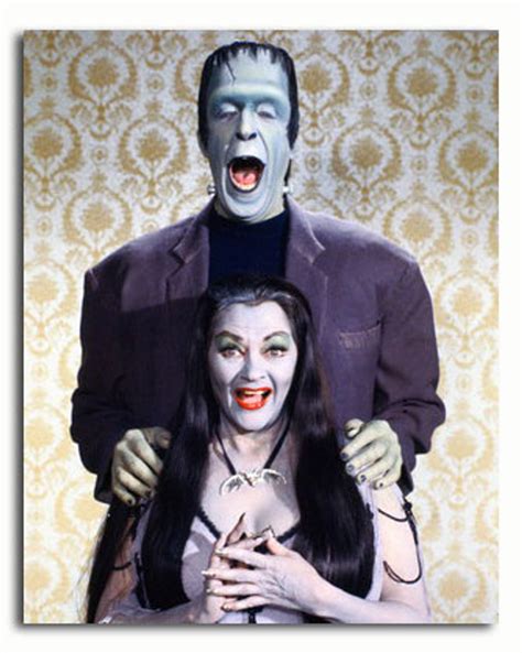 (SS3446014) Movie picture of The Munsters buy celebrity photos and ...