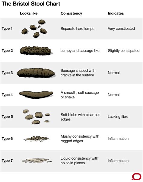 What the consistency of your poo says about your health Fiber Rich Foods, High Fiber Foods ...