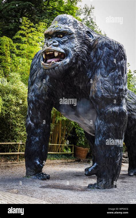 Giant Gorilla at Wookey Hole, Somerset, UK Stock Photo - Alamy