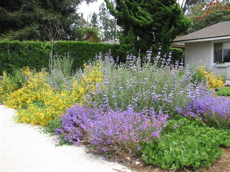 Free California Friendly Landscape Training in Scripps Ranch | San Diego County Water ...