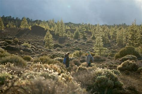 Teide National Park: The best hikes (including maps)