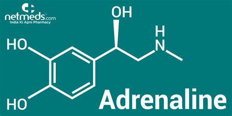 Adrenaline/Epinephrine: Structure, Crucial Functions And Adverse Effects