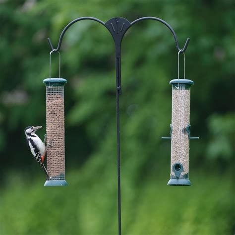 Top 10 Best Bird Feeders - Design for Me