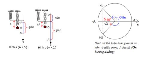 Phương pháp giải bài tập thời gian nén - giãn của con lắc lò xo MÔN LÝ Lớp 12