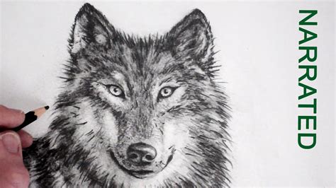 How to Draw a Realistic Wolf: Narrated - YouTube