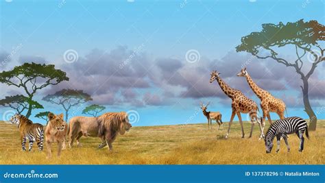 Savanna Predators and Prey Wild Animals Group Stock Photo - Image of ...