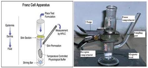 Static Franz diffusion cell | Download Scientific Diagram